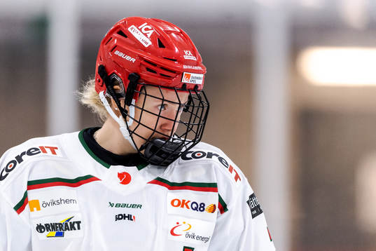 Modos Lina Ljungblom