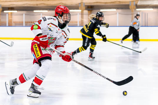 Modos Ebba Hedqvist