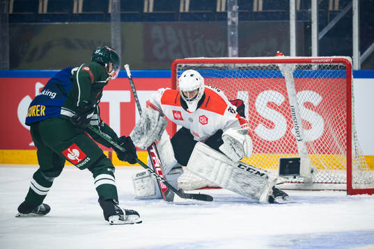 Linus Johansson of Färjestad and goaltender Rok Stojanovic
