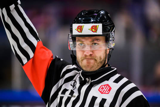 Domare Daniel Eriksson