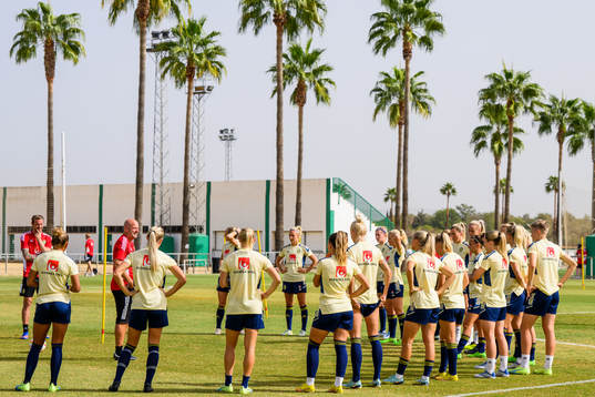 Players of the Swedish women's national football team