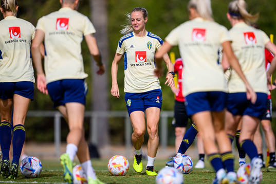 Amanda Ilestedt of the Swedish women's national football