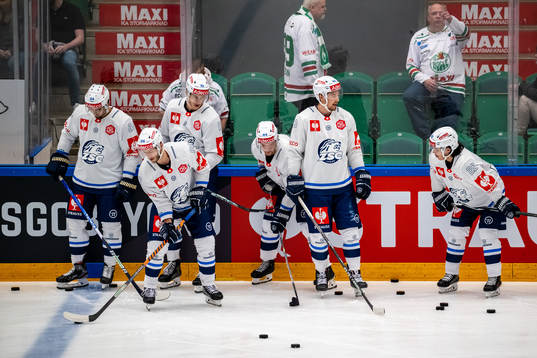 Players of ZSC Lions