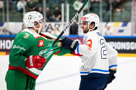 Michael Kapla of Rögle and Phil Baltisberger of ZSC Lions