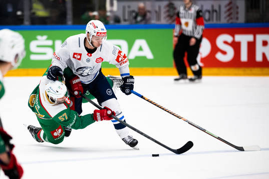 Vojtech Mozik of Rögle and Dario Trutmann of ZSC Lions