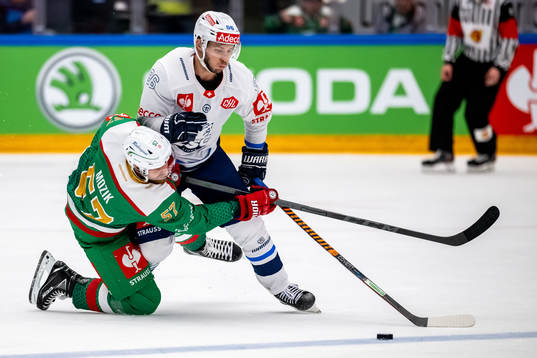 Vojtech Mozik of Rögle and Dario Trutmann of ZSC Lions