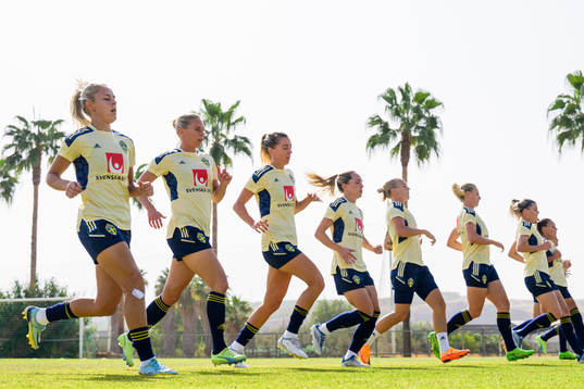 Players of the Swedish women's national football team at a