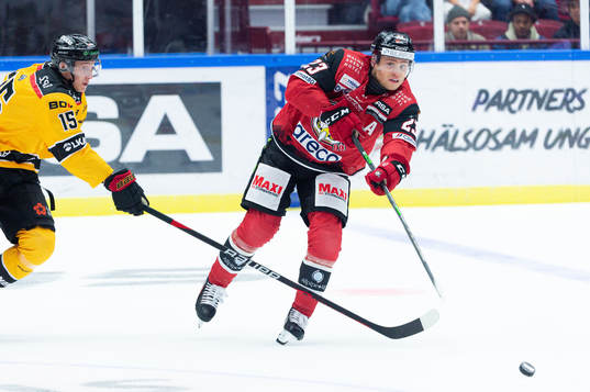 Luleås Carl Mattsson och Malmö Redhawks Christoffer