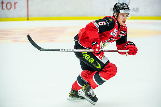 Malmö Redhawks Theodor Johnsson