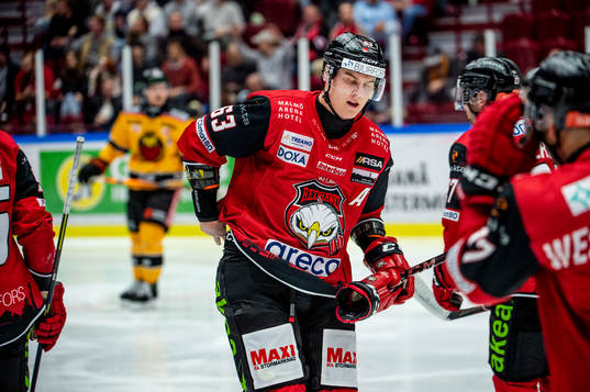 Malmö Redhawks Fredrik Händemark deppar