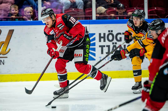 Malmö Redhawks Marcus Sylvegård