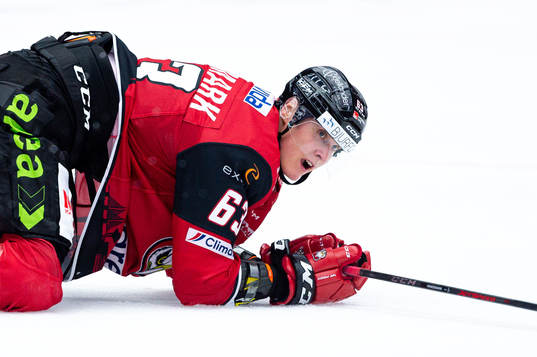 Malmö Redhawks Fredrik Händemark deppar