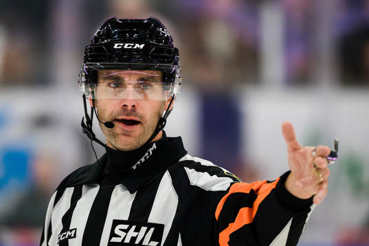 Domare Richard Magnusson