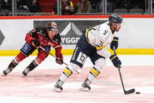 Malmö Redhawks Pathrik Westerholm och HV71s Tyler Vesel