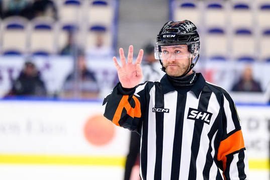 Domare Daniel Eriksson