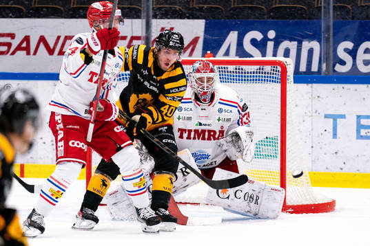 Skellefteås Andreas Wingerli och Timrås målvakt David