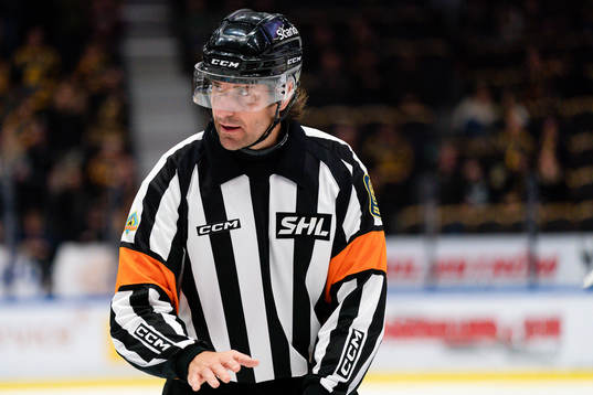 Domare Mikael Sjöqvist