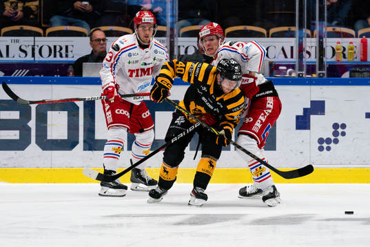 Skellefteås Andreas Wingerli och Timrås Nick Halloran
