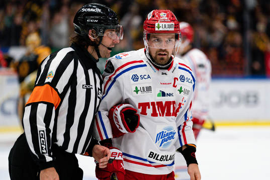Domare Mikael Sjöqvist och Timrås Anton Lander