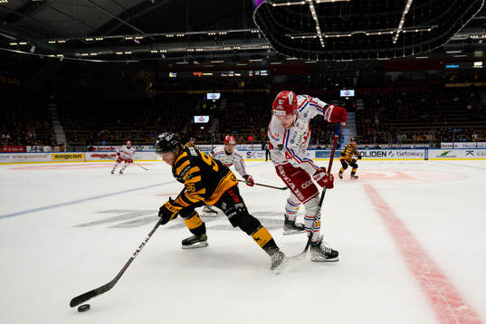 Skellefteås Rickard Hugg och Timrås Sebastian Hartmann