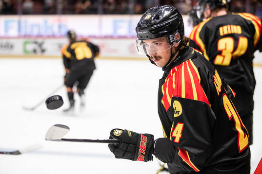 Brynäs Hannes Björninen