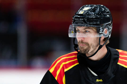 Brynäs Anton Rödin
