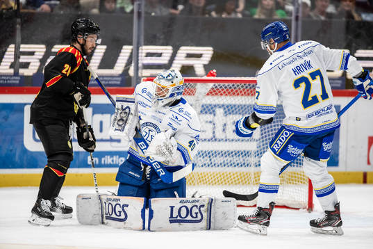 Leksands målvakt Mantas Armalis