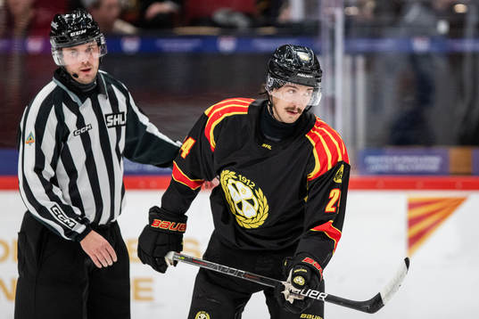 Brynäs Hannes Björninen blir utvisad