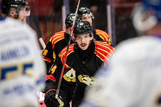 Brynäs Hannes Björninen jublar