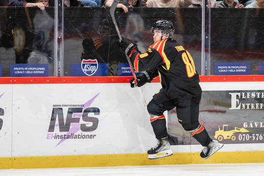 Brynäs Dmytro Timashov jublar