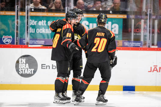 Brynäs Dmytro Timashov jublar