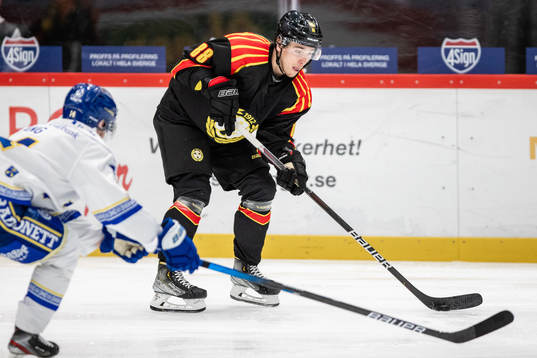 Brynäs Dmytro Timashov