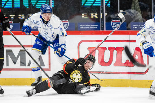 Brynäs Johan Larsson