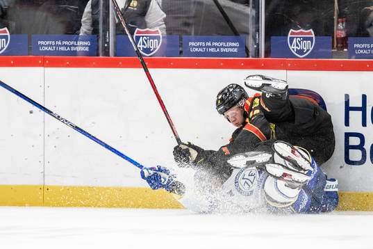 Brynäs Linus Ölund
