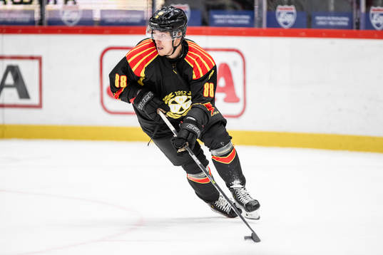 Brynäs Dmytro Timashov