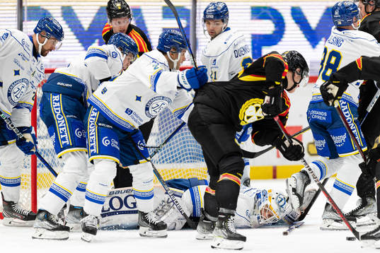 Leksands målvakt Mantas Armalis