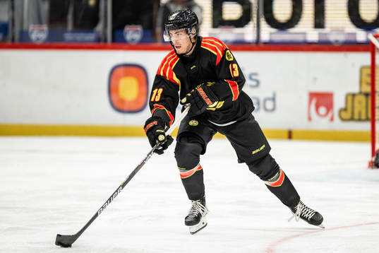 Brynäs Samuel Johannesson