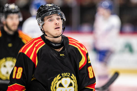 Brynäs Dmytro Timashov