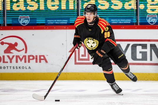Brynäs David Sklenicka