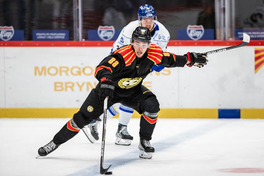 Brynäs Dmytro Timashov