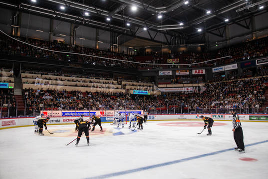 Monitor ERP Arena