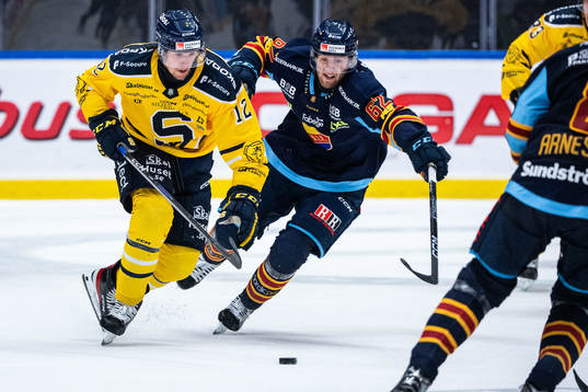 Södertäljes Viktor Liljegren och Djurgårdens Wiktor