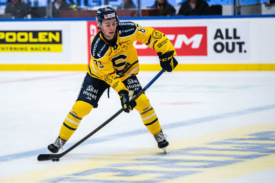 Södertäljes Ludvig Jansson