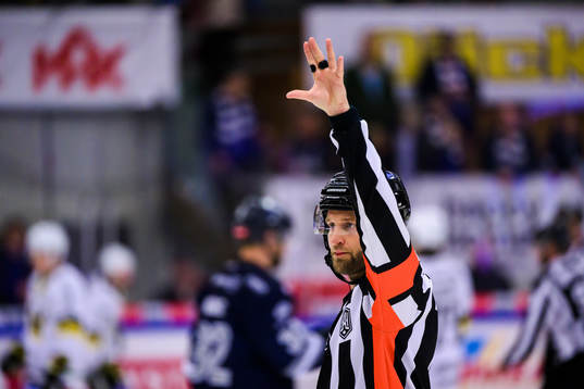 Domare Niklas Johansson