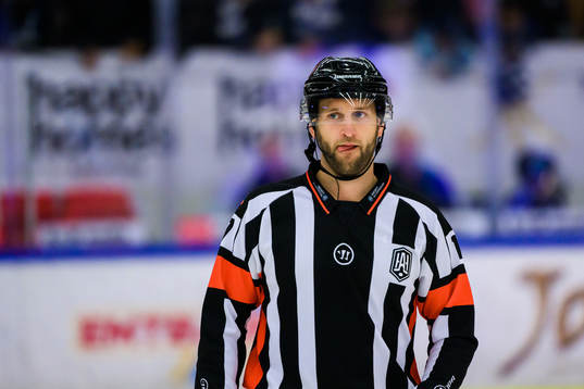 Domare Niklas Johansson