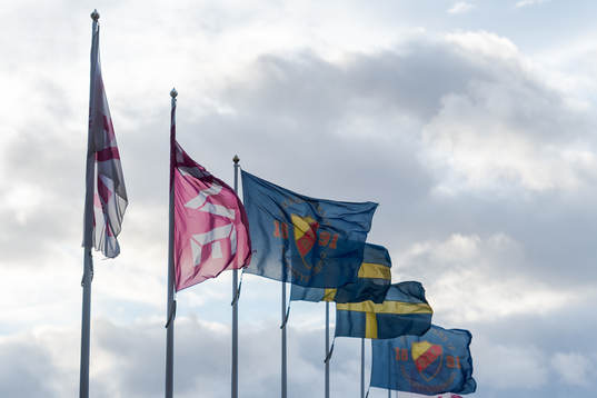 Djurgårdens flagga