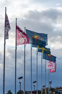 Djurgårdens flagga