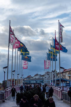 Djurgårdens flagga