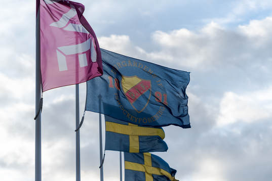 Djurgårdens flagga