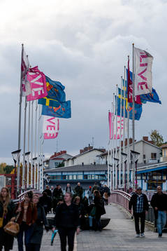 Djurgårdens flagga